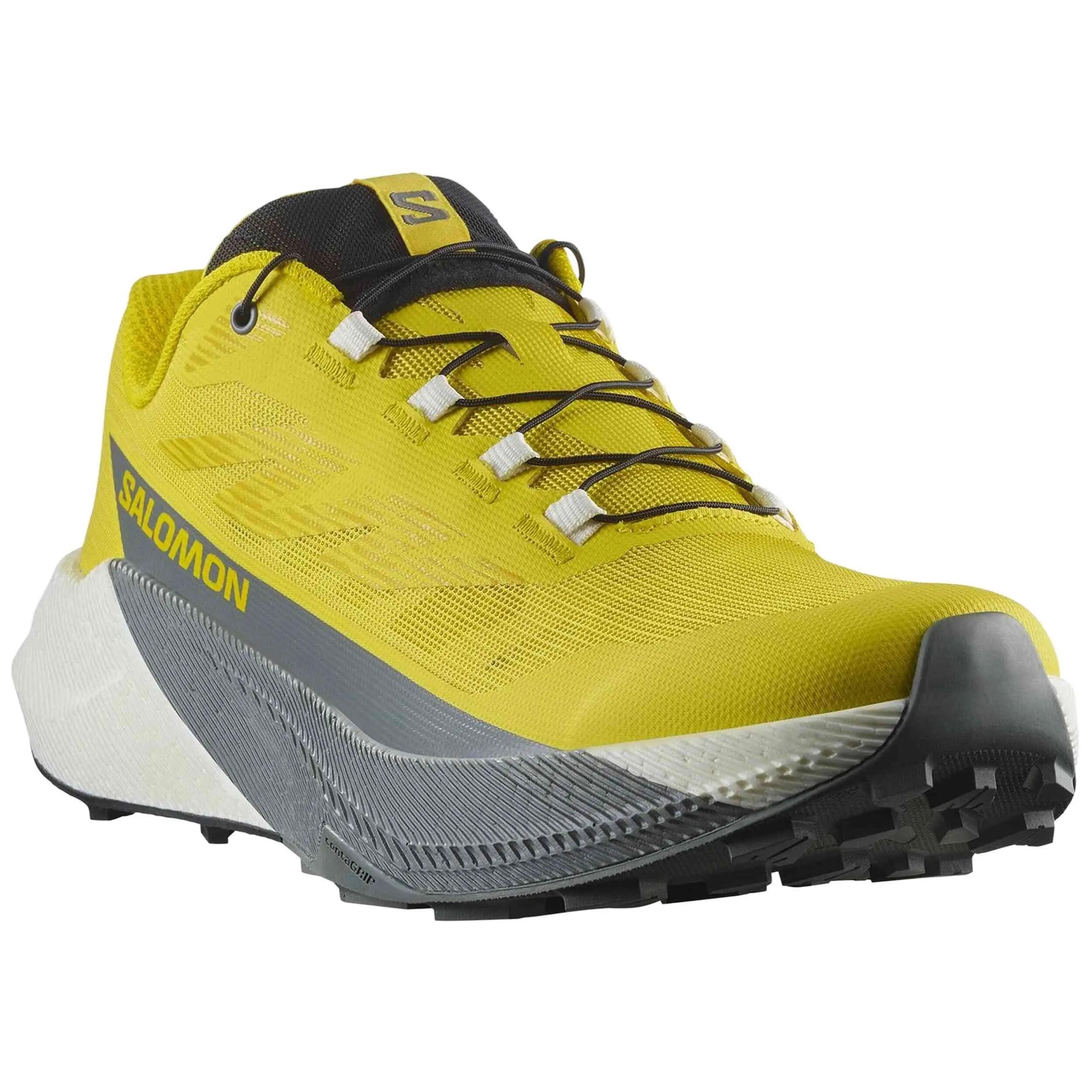 SALOMON picture