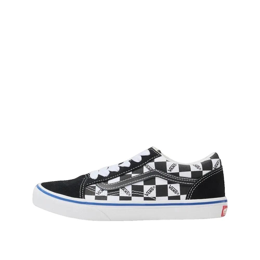 VANS picture