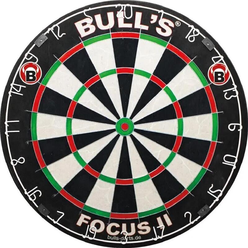 BULL'S picture