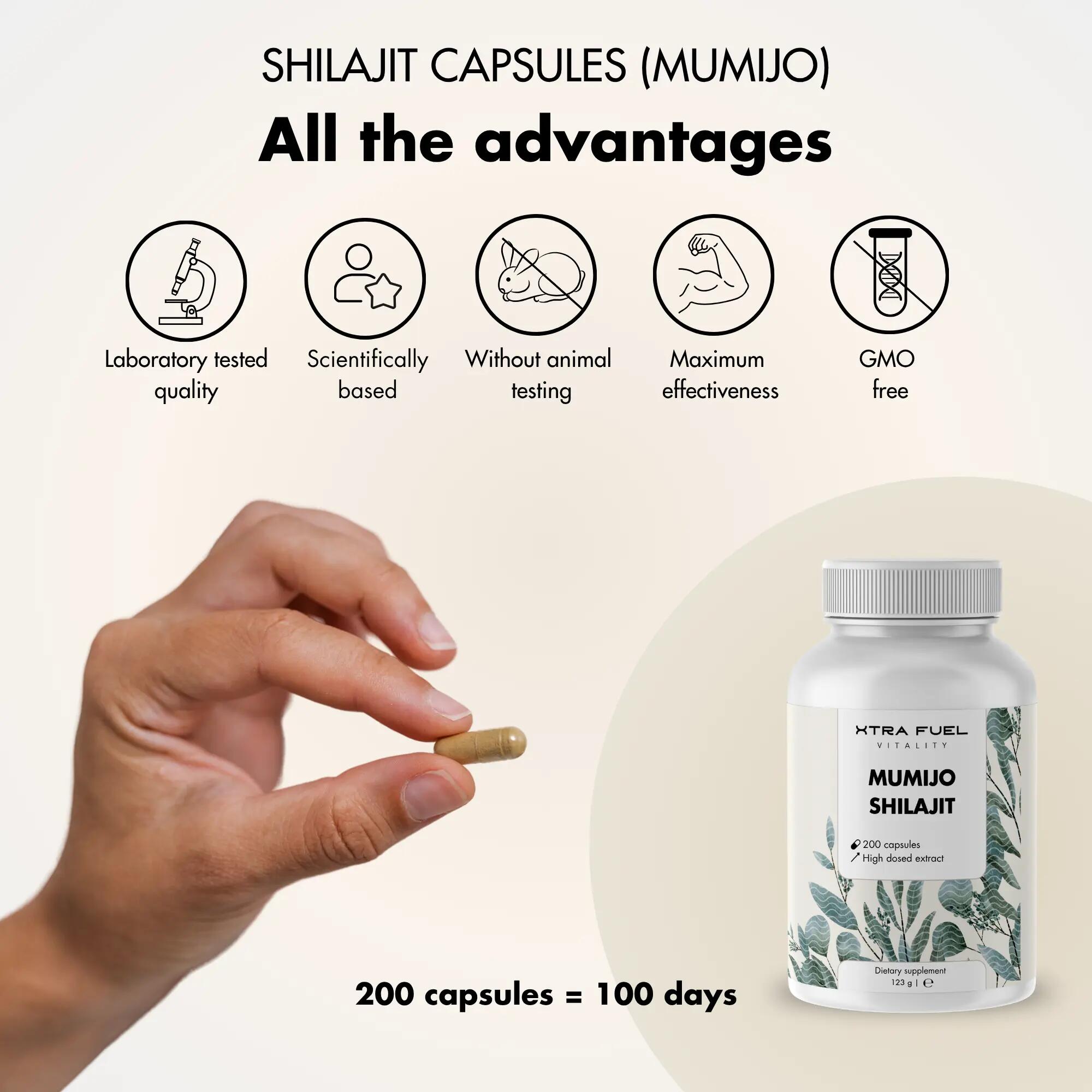Gélules de shilajit avec acides fulviques et humiques 8/9