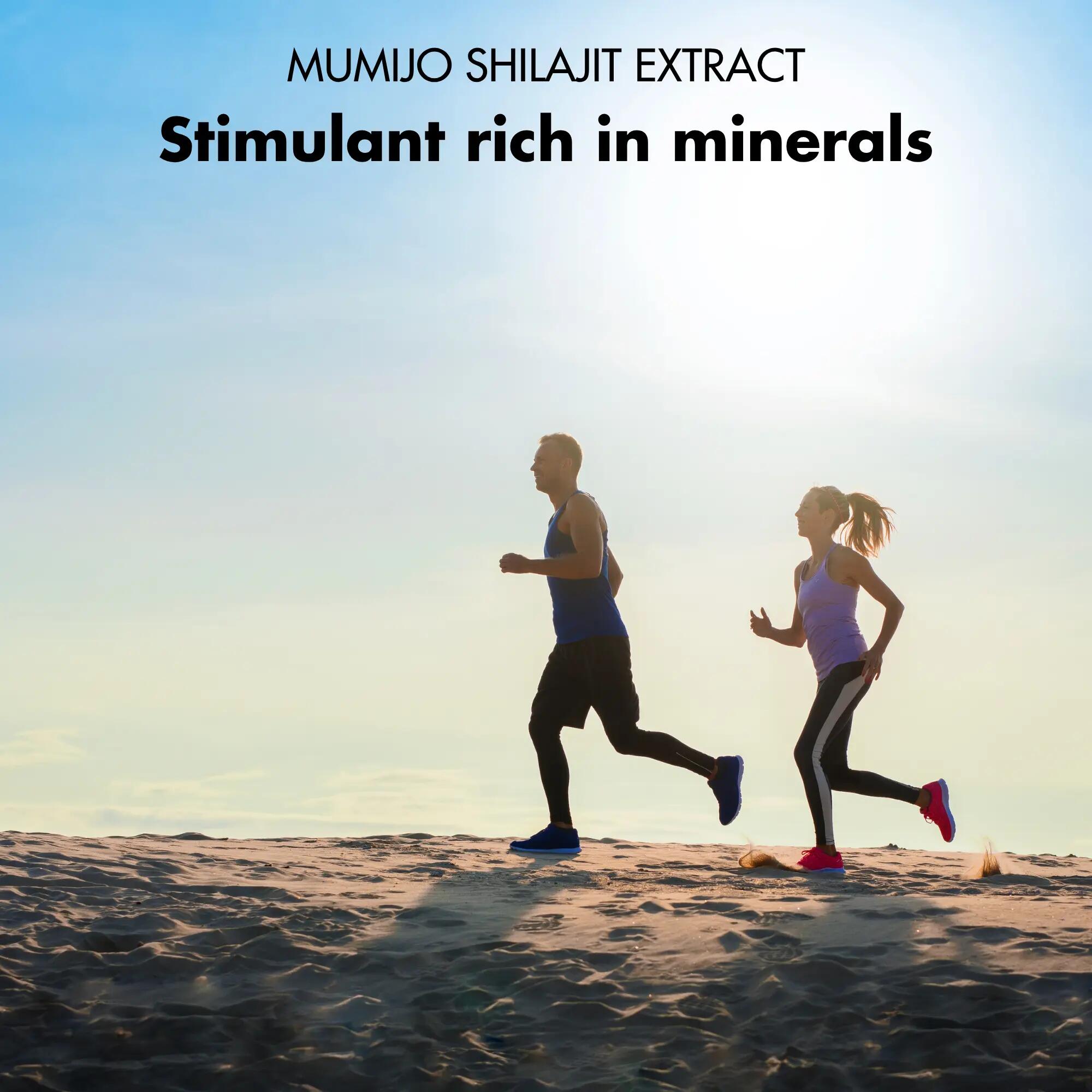 Gélules de shilajit avec acides fulviques et humiques 5/9