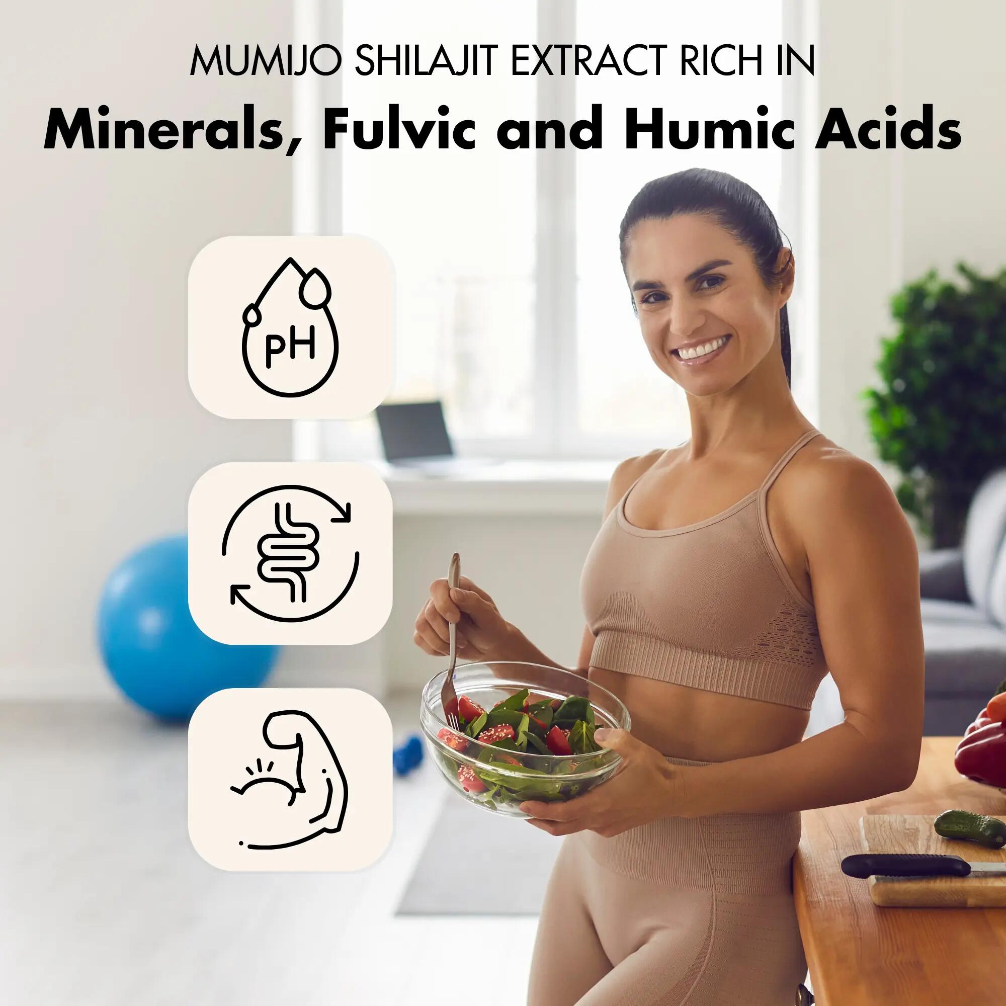 Gélules de shilajit avec acides fulviques et humiques 3/9