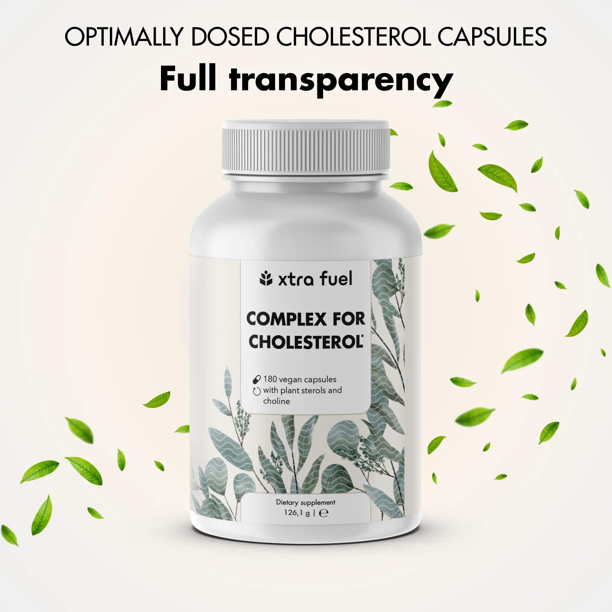 Cholesterin Komplex - Nährstoffkomplex mit Pflanzensterolen & Monacolin K 10/11