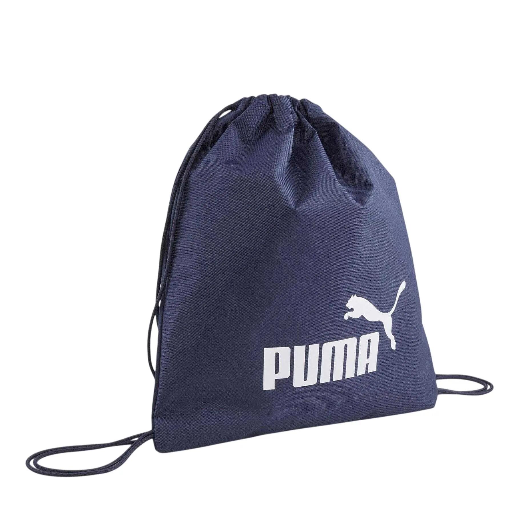 PUMA picture