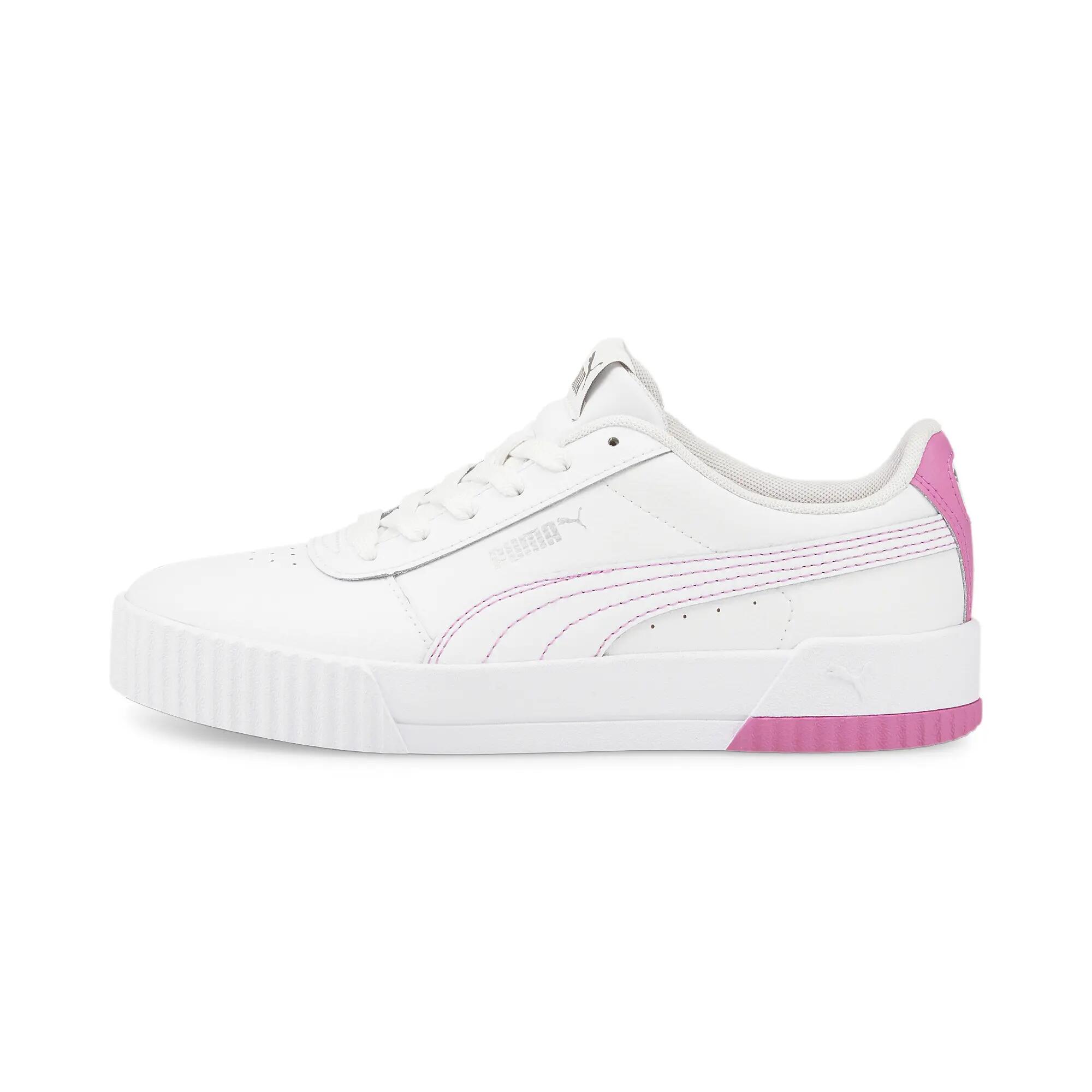 PUMA picture