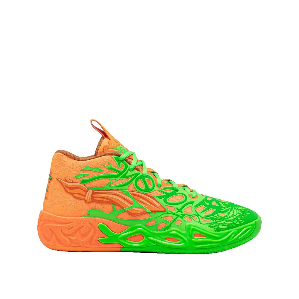 PUMA picture