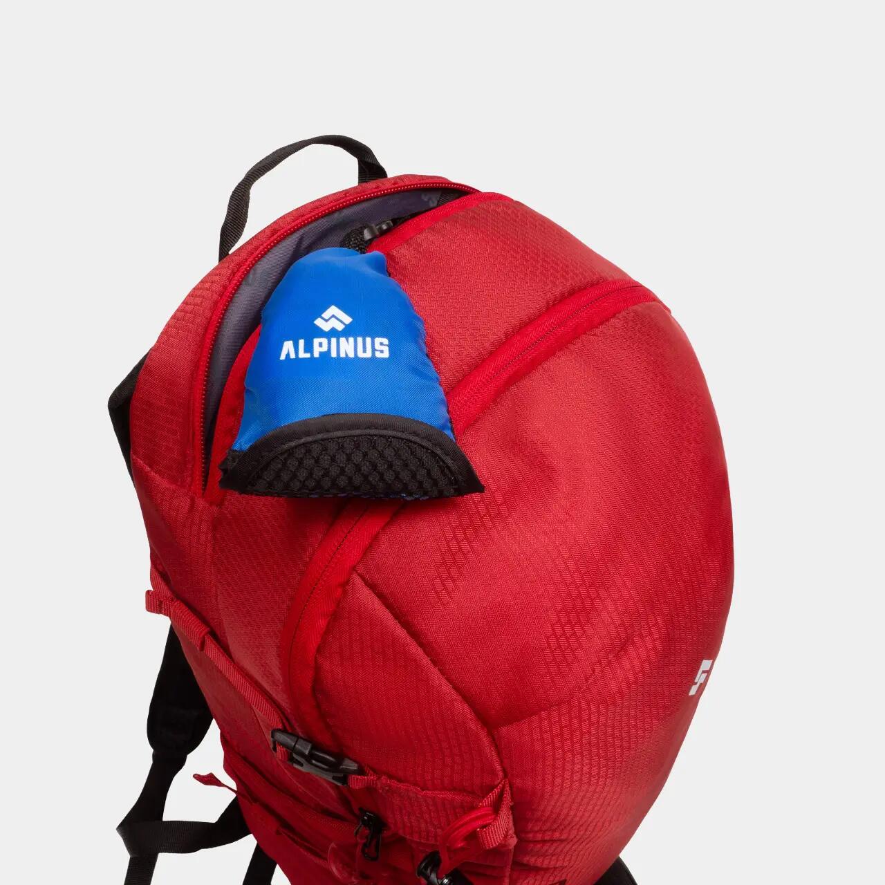Plecak trekkingowy Alpinus Negoiu 20l 8/10
