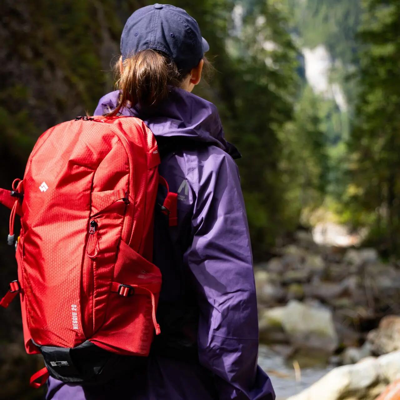 Plecak trekkingowy Alpinus Negoiu 20l 10/10