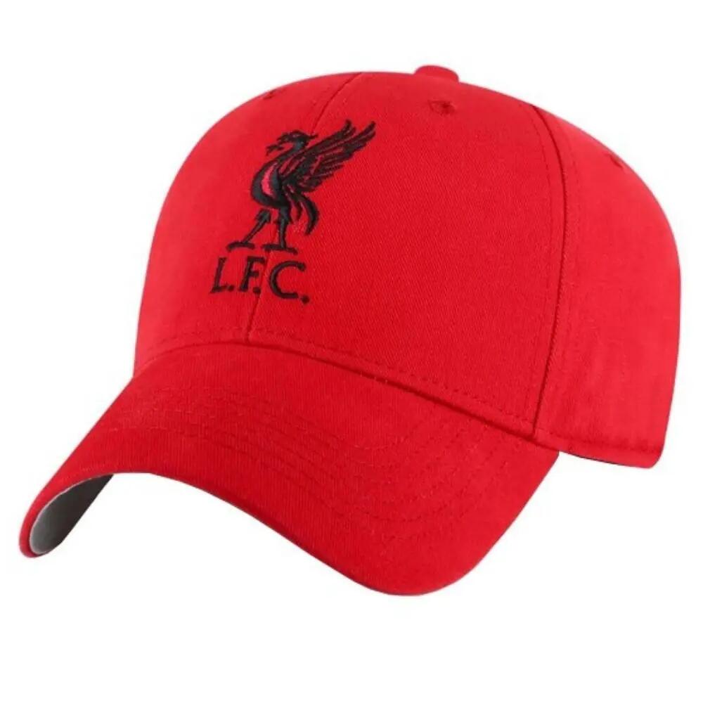 LIVERPOOL FC picture