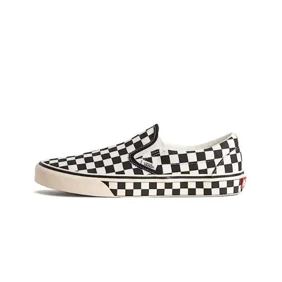 VANS picture