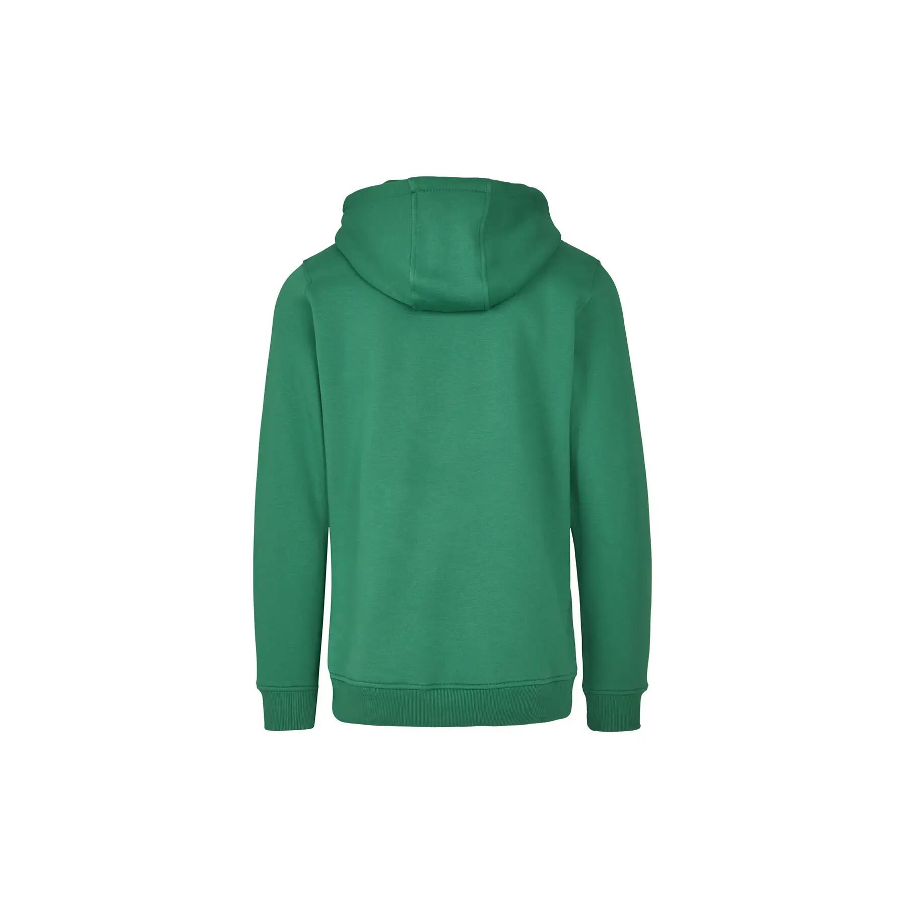 Sweatshirt com capuz pesado Build Your Brand 2/4