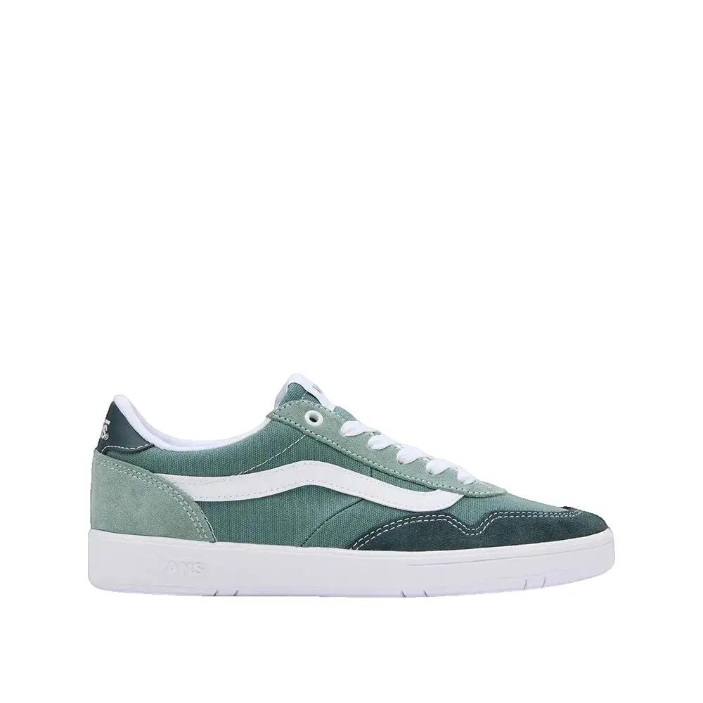 VANS picture