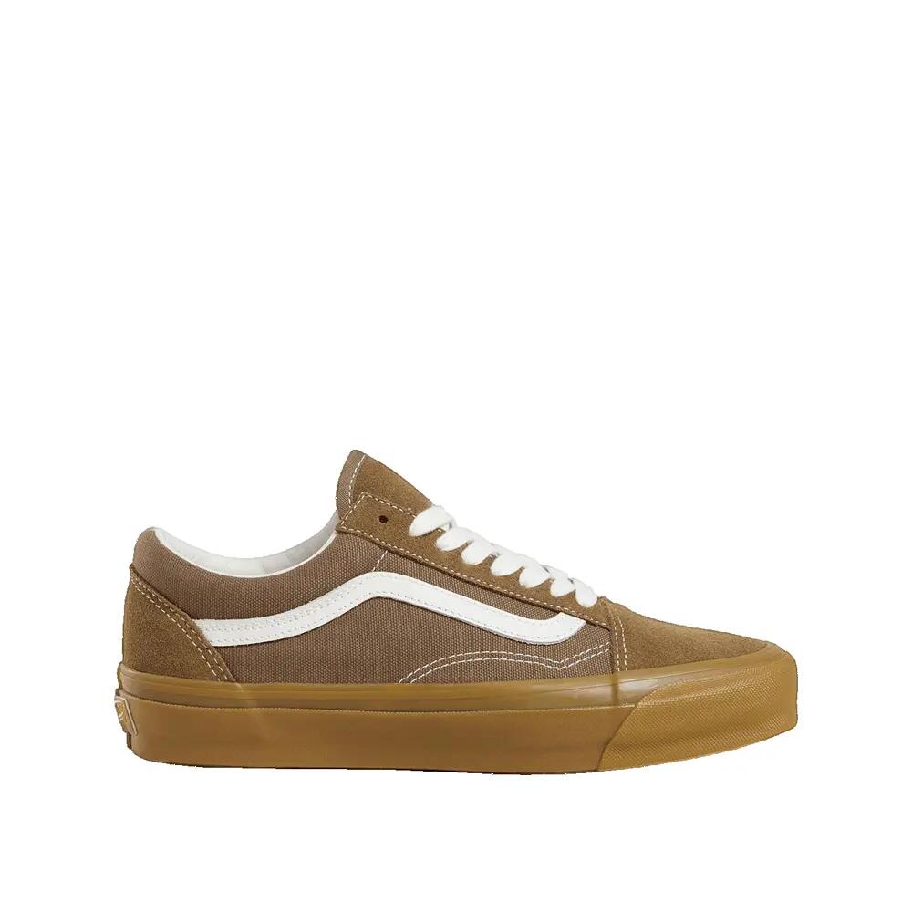 VANS picture