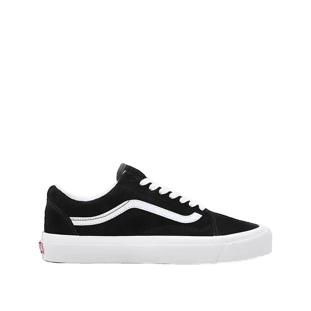 VANS picture