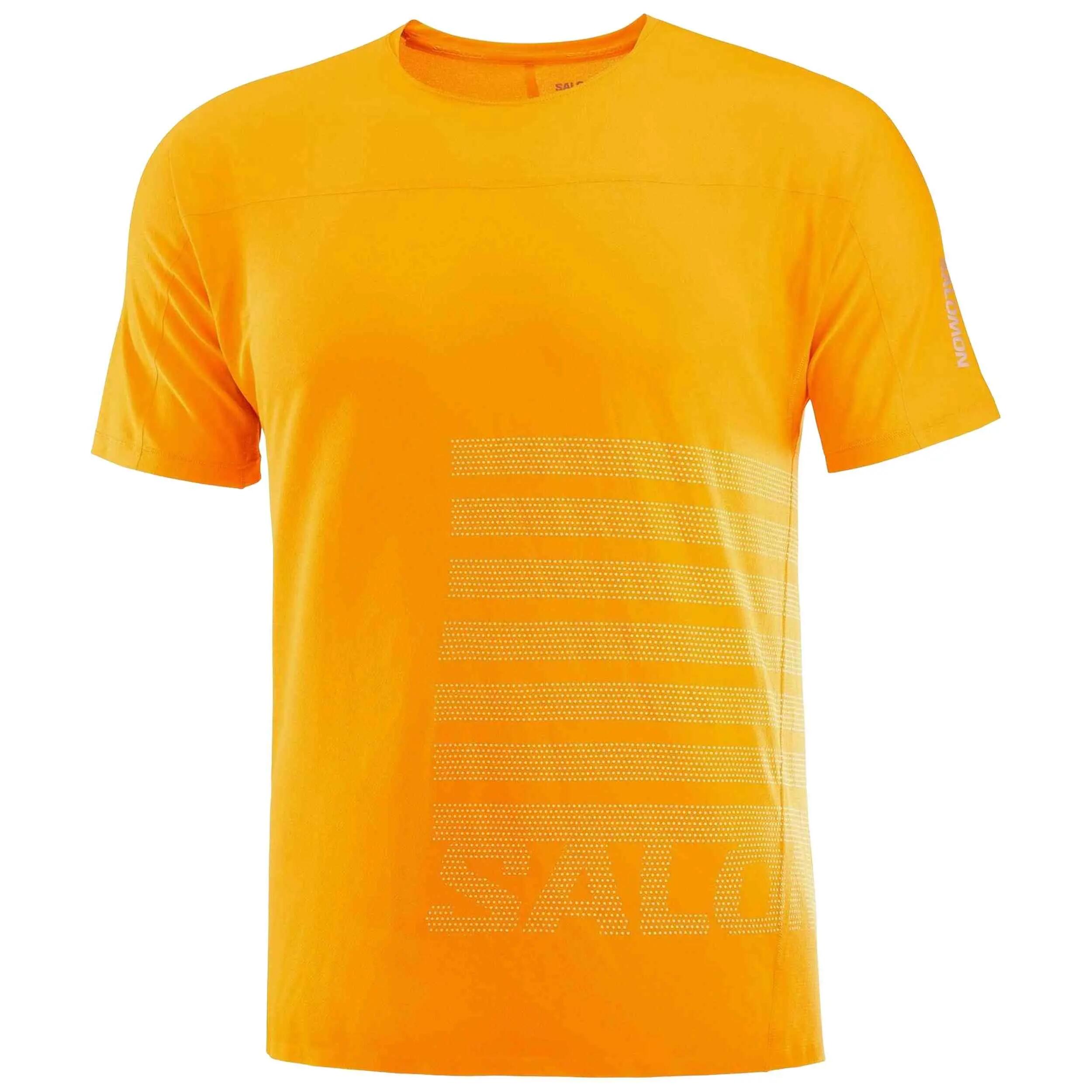 SALOMON picture