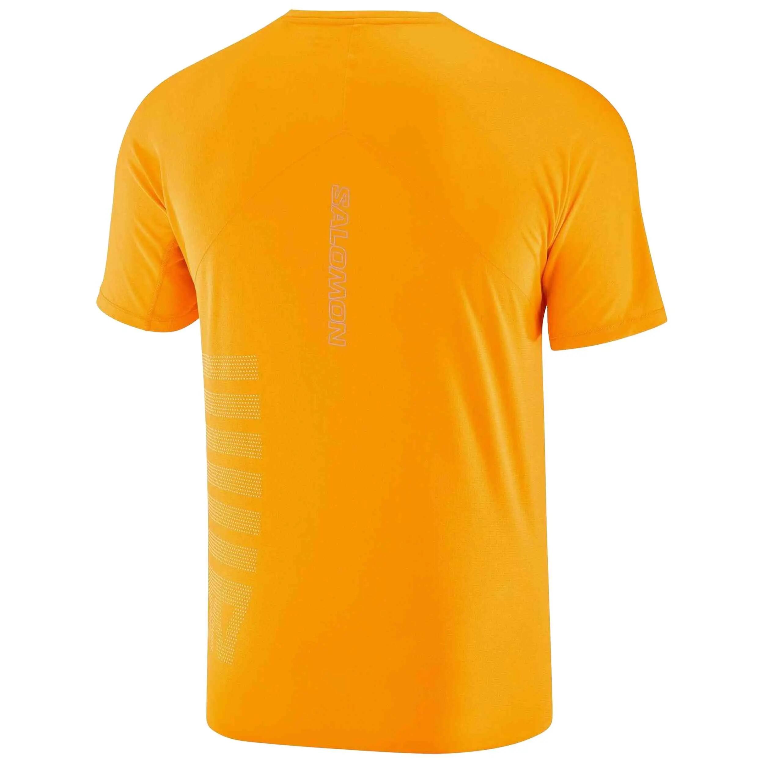 Kurzarmshirt Salomon Modell Sense Aero GFX für unisex 2/4