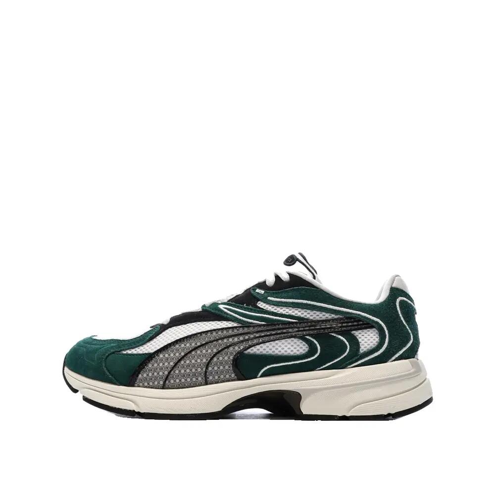 PUMA picture