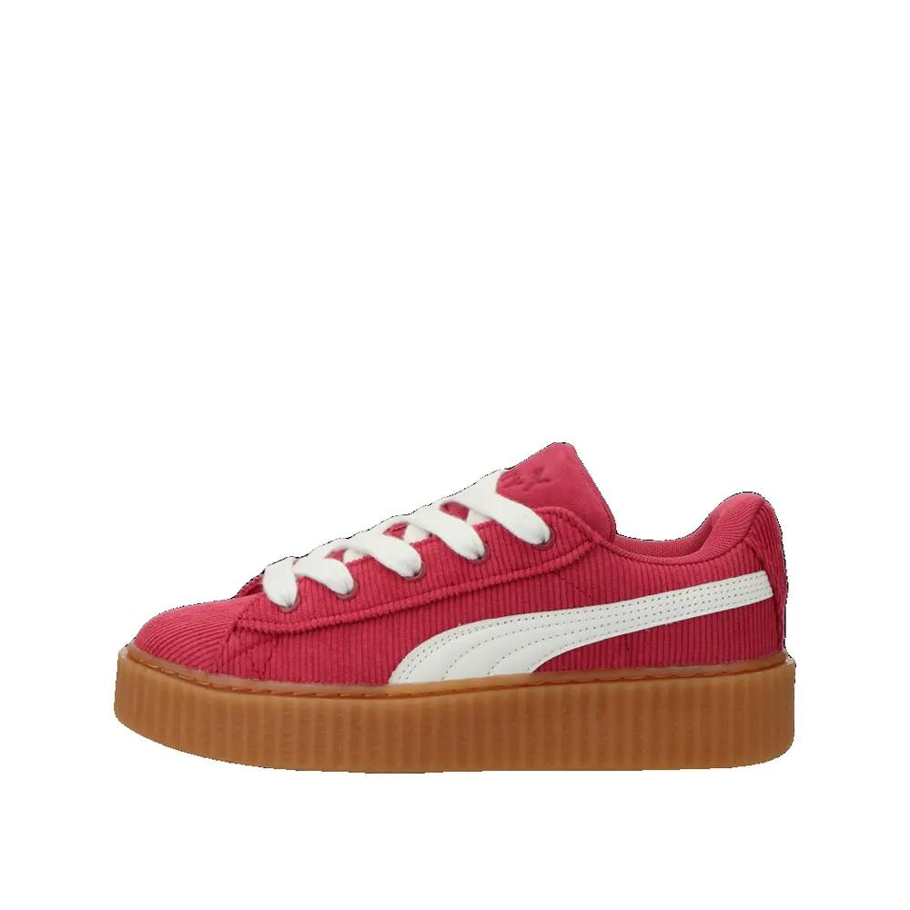 PUMA picture