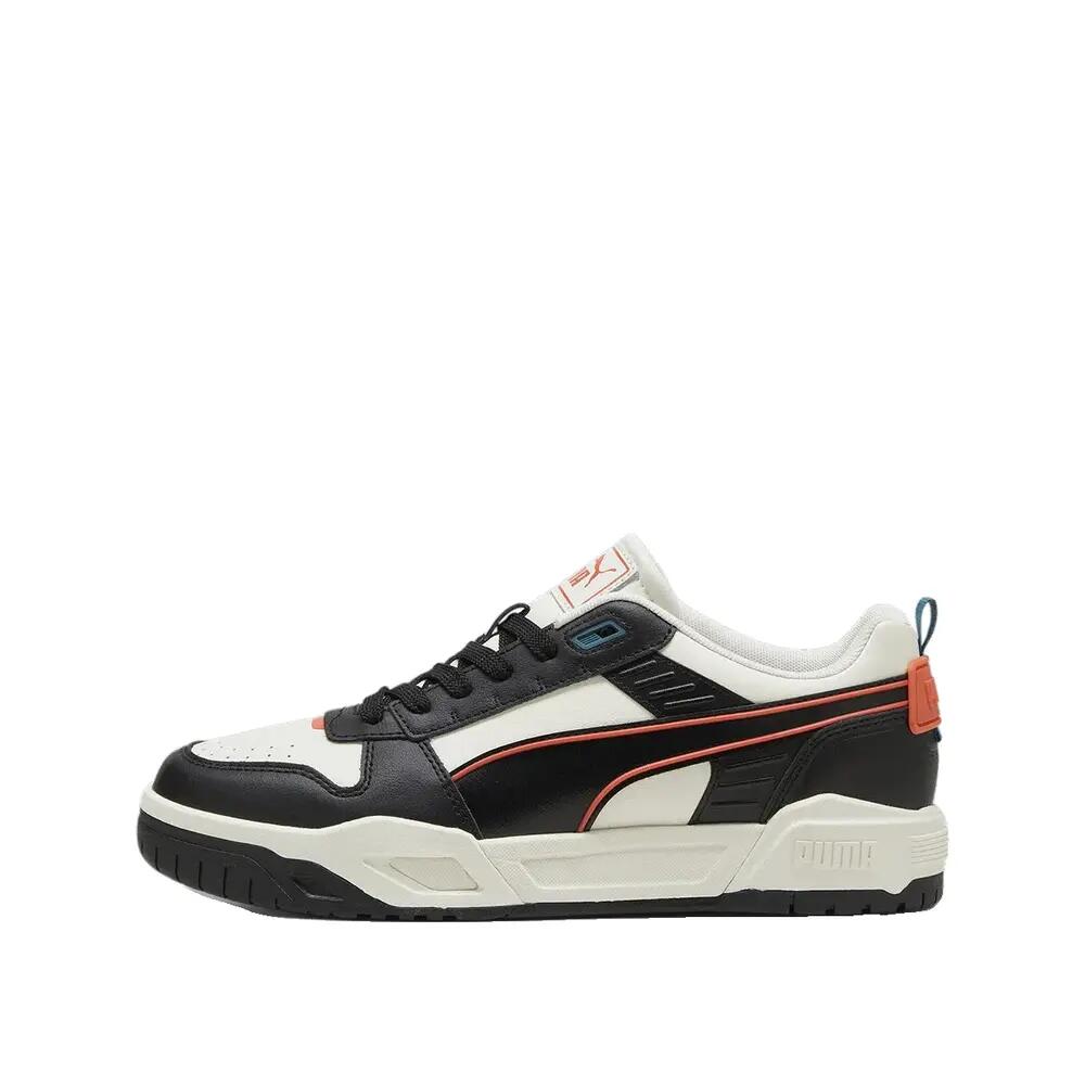 PUMA picture