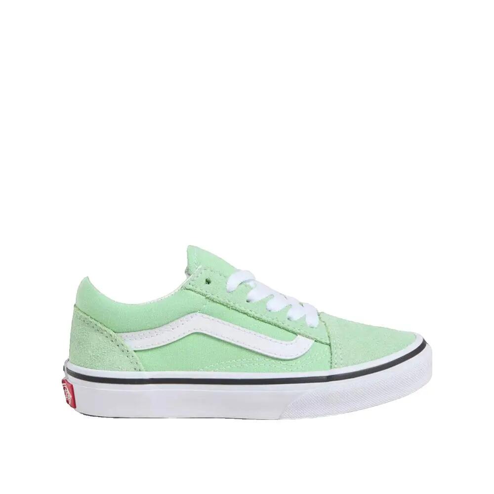 VANS picture