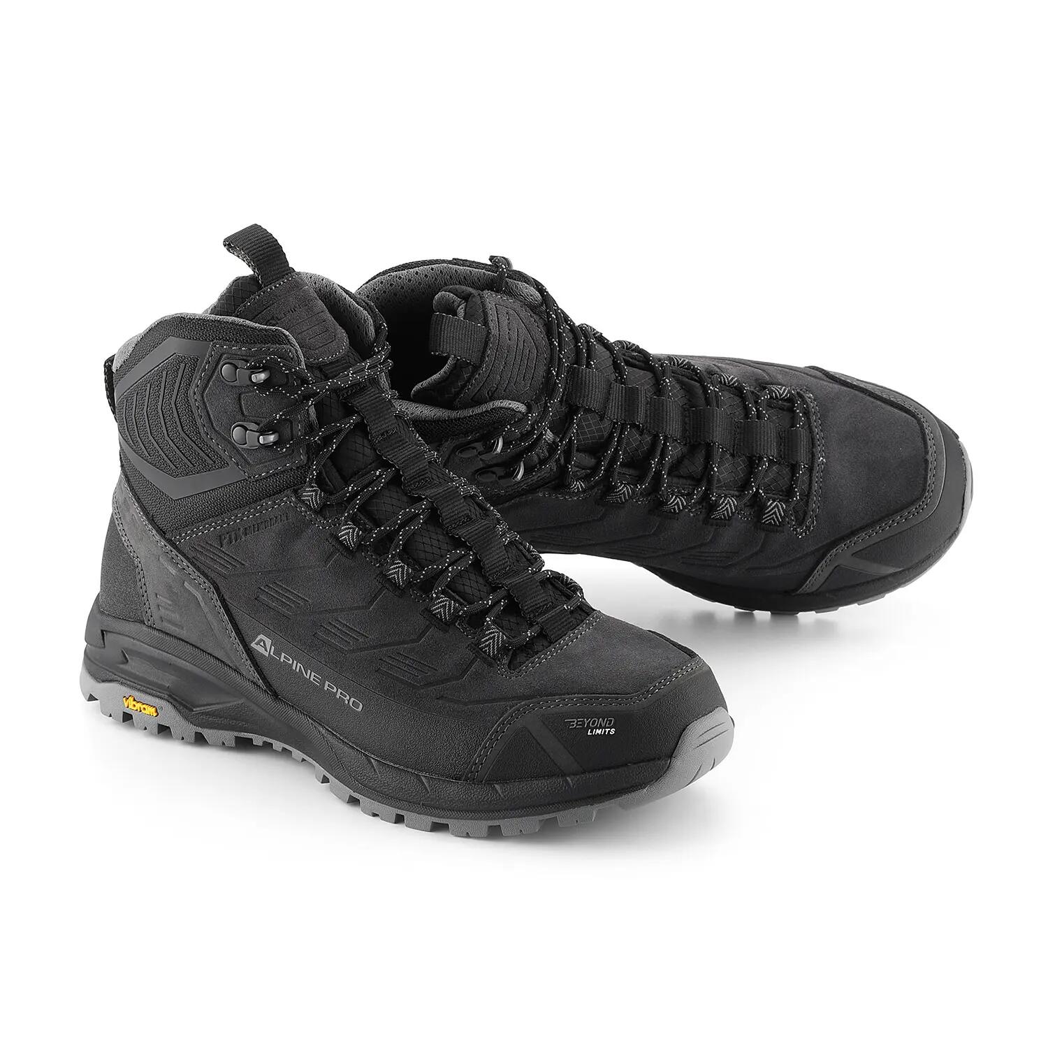 ALPINE PRO picture