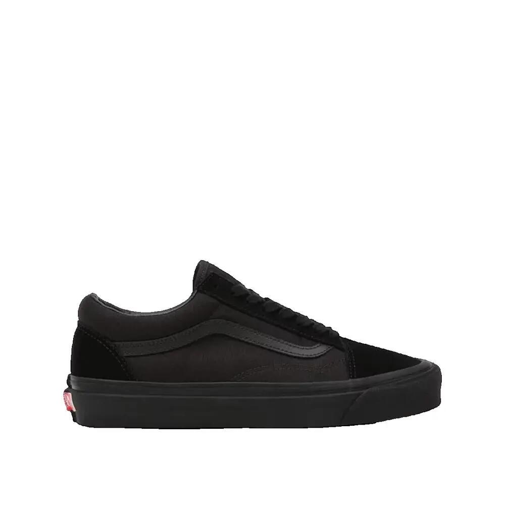 VANS picture