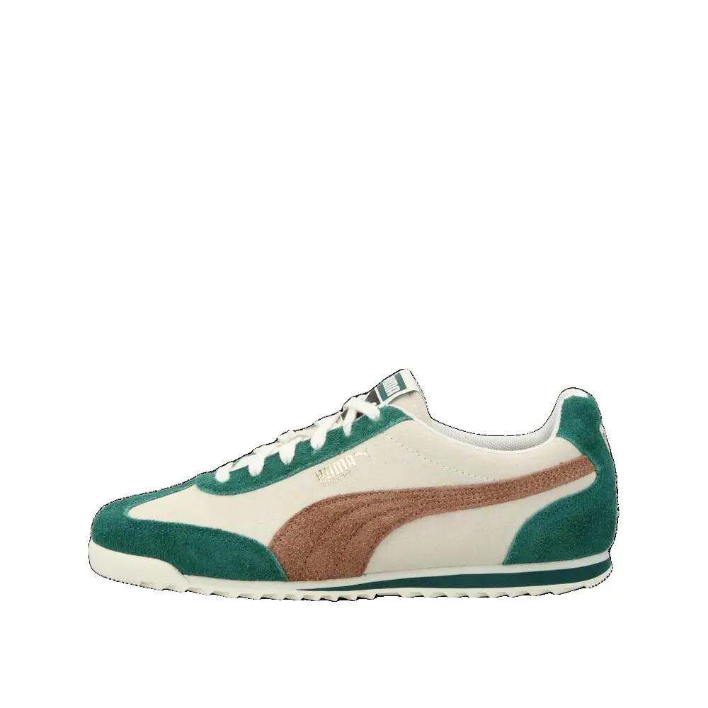 PUMA picture
