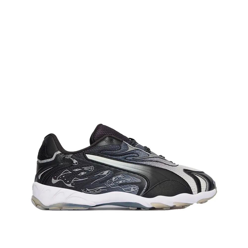 PUMA picture