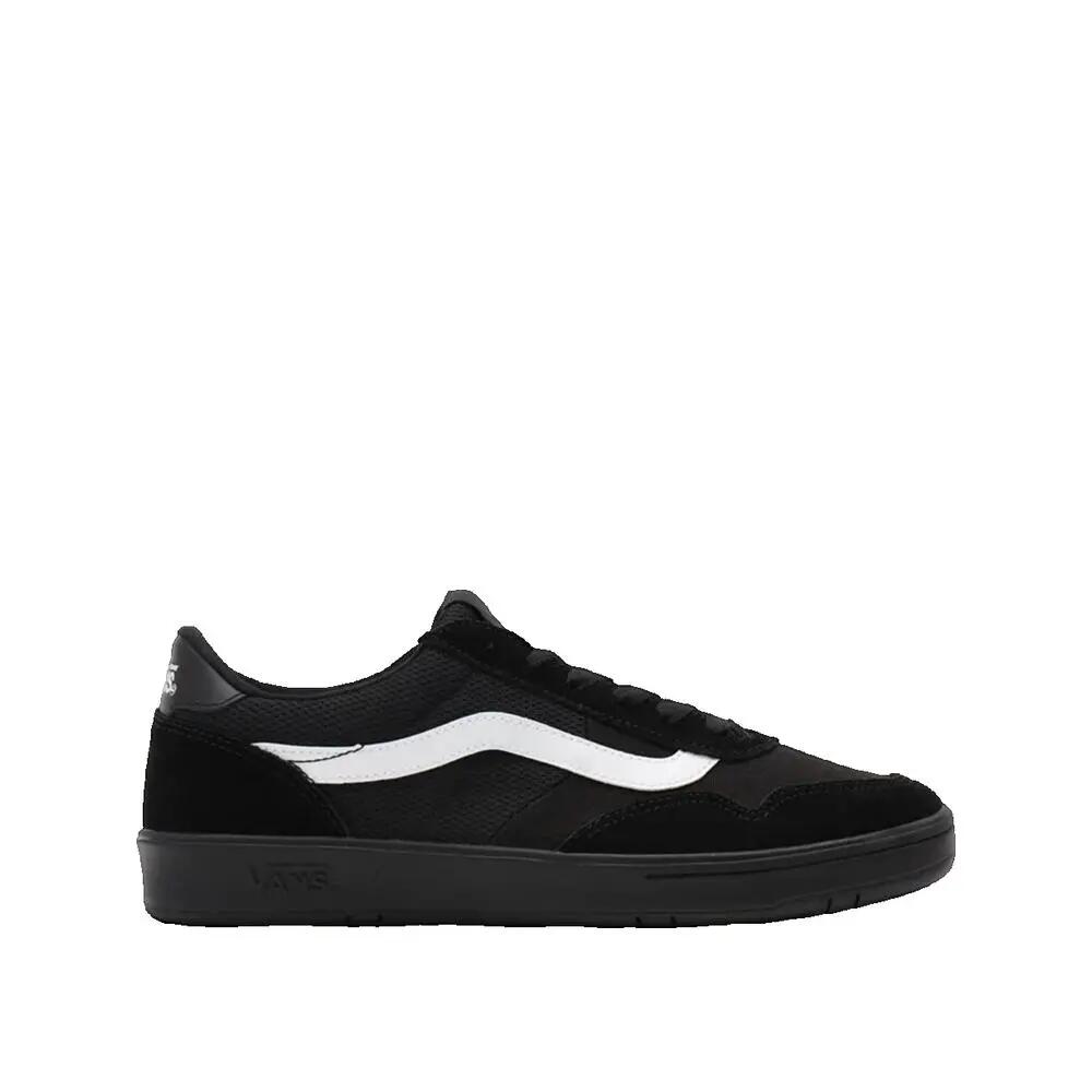 VANS picture