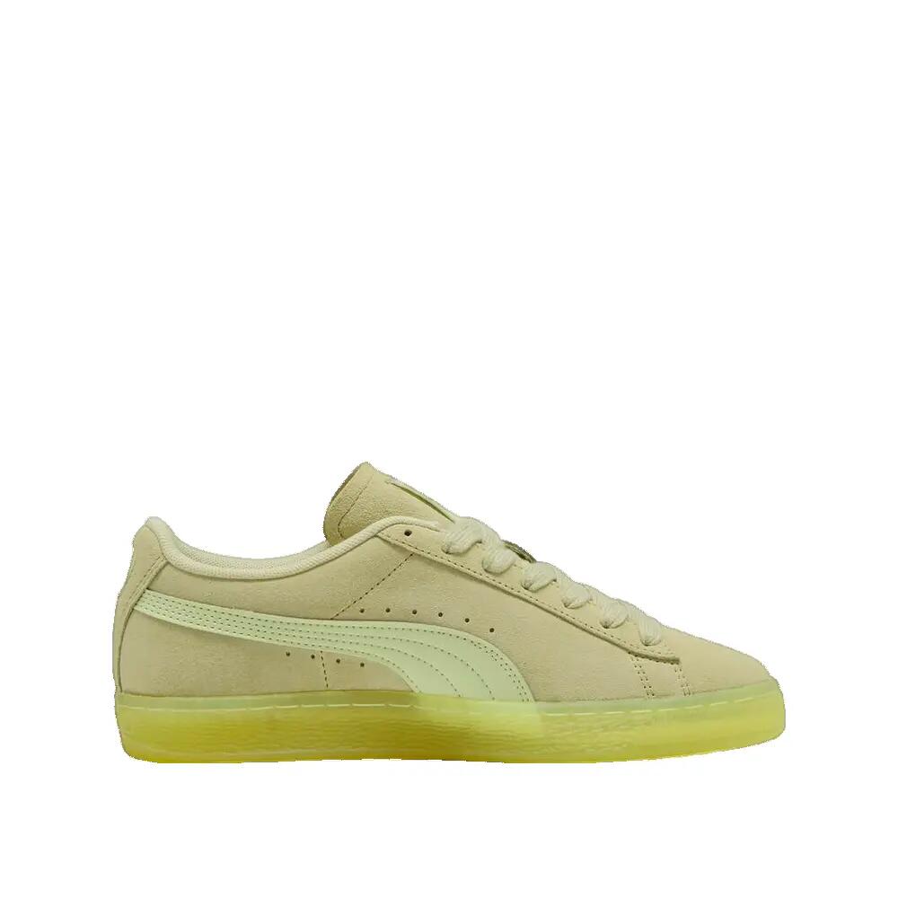 PUMA picture