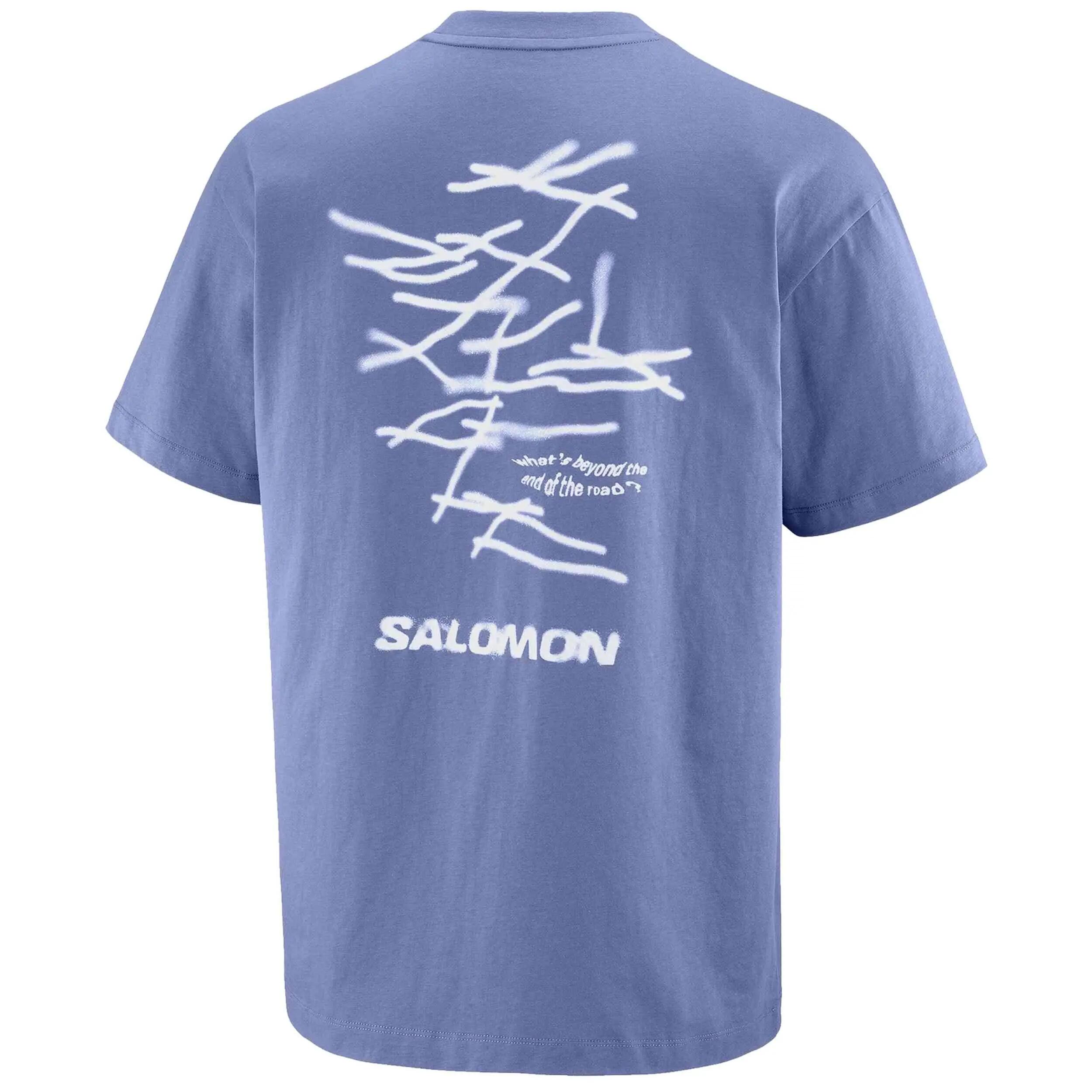T-shirt met korte mouwen Salomon model Wild Rays Graphic voor mannen 2/5