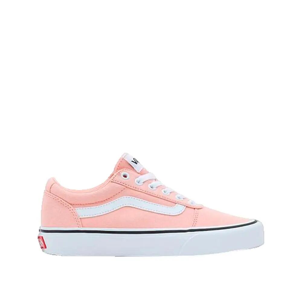 VANS picture