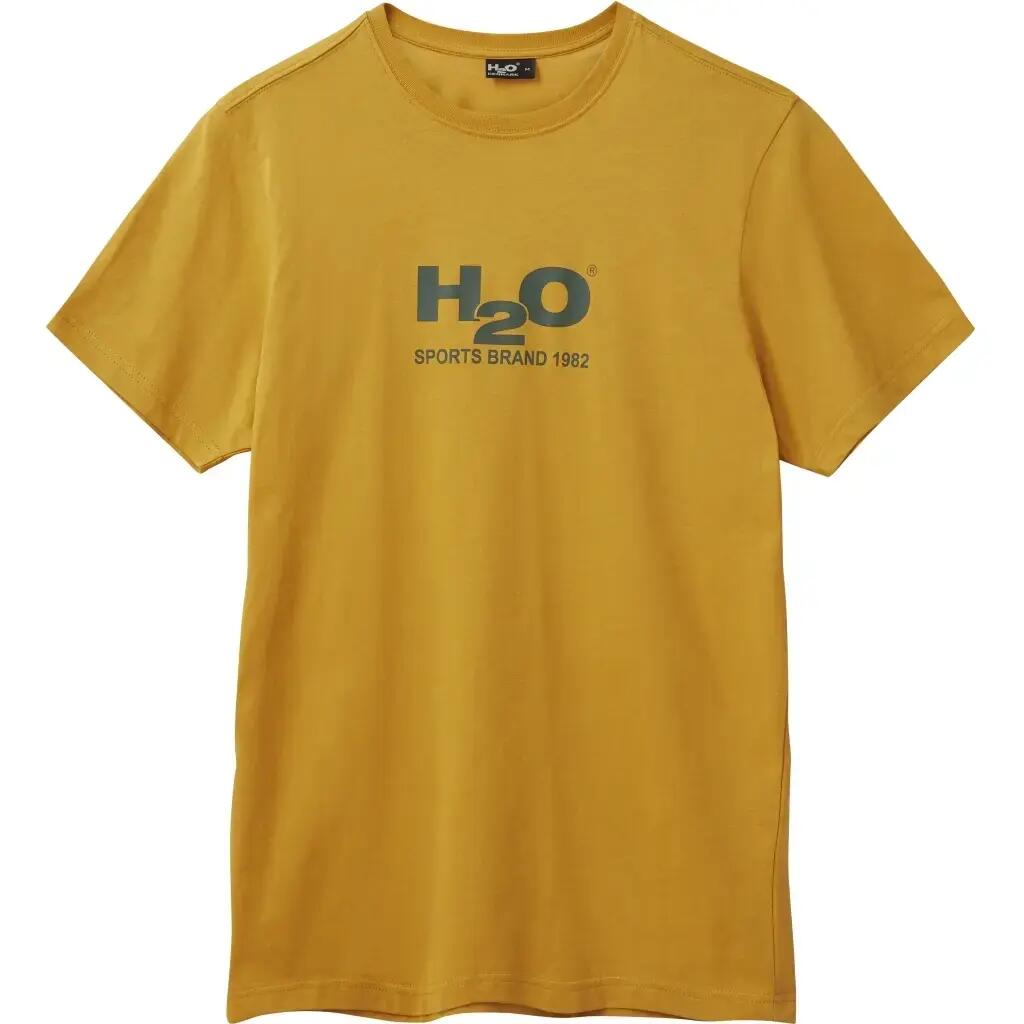 H2O picture