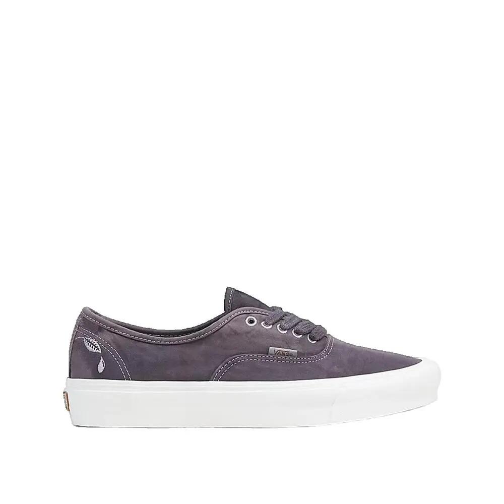 VANS picture