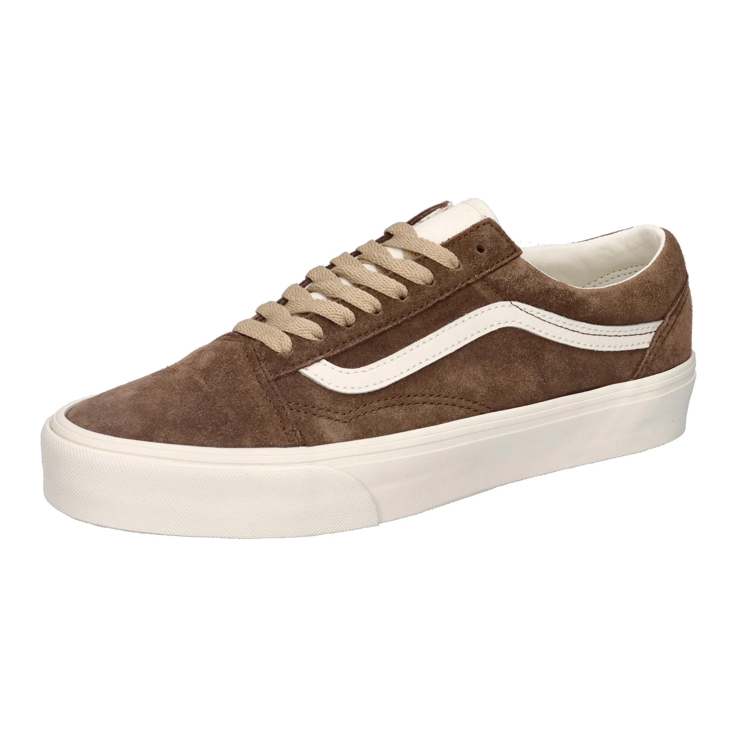 VANS picture