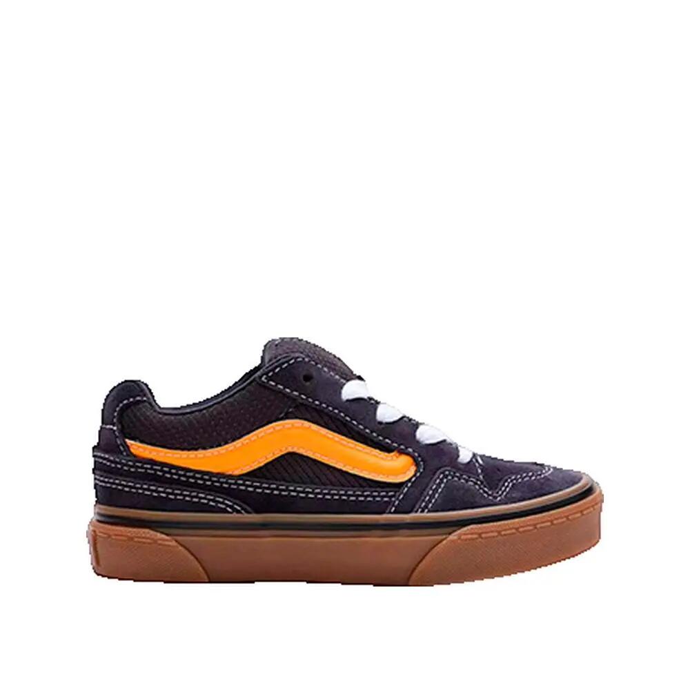 VANS picture