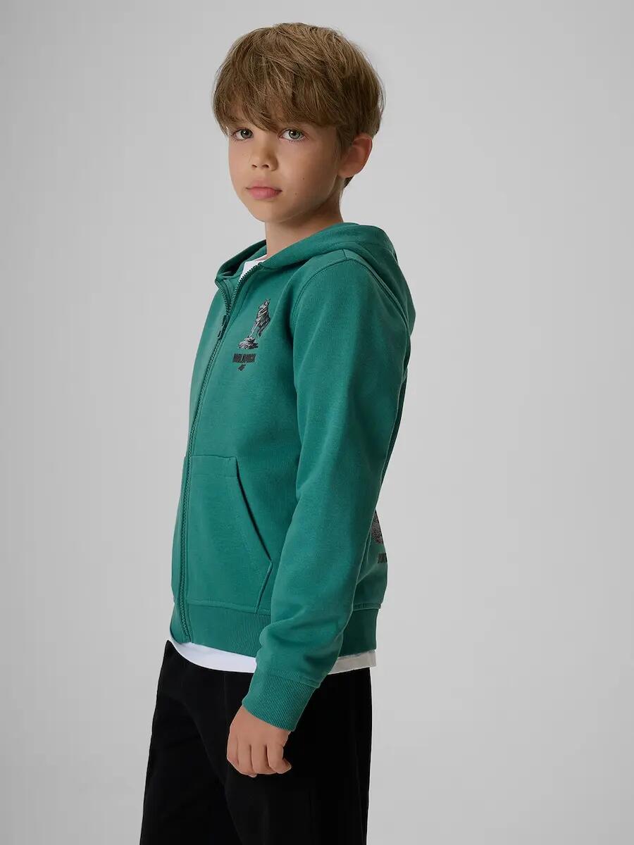 Bluza dresowa regular z kapturem chłopięca 4F 4/7