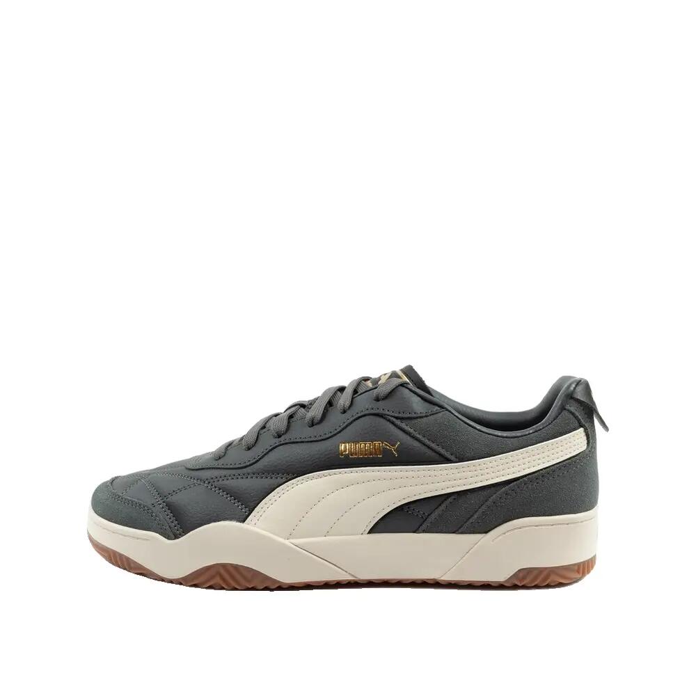 PUMA picture