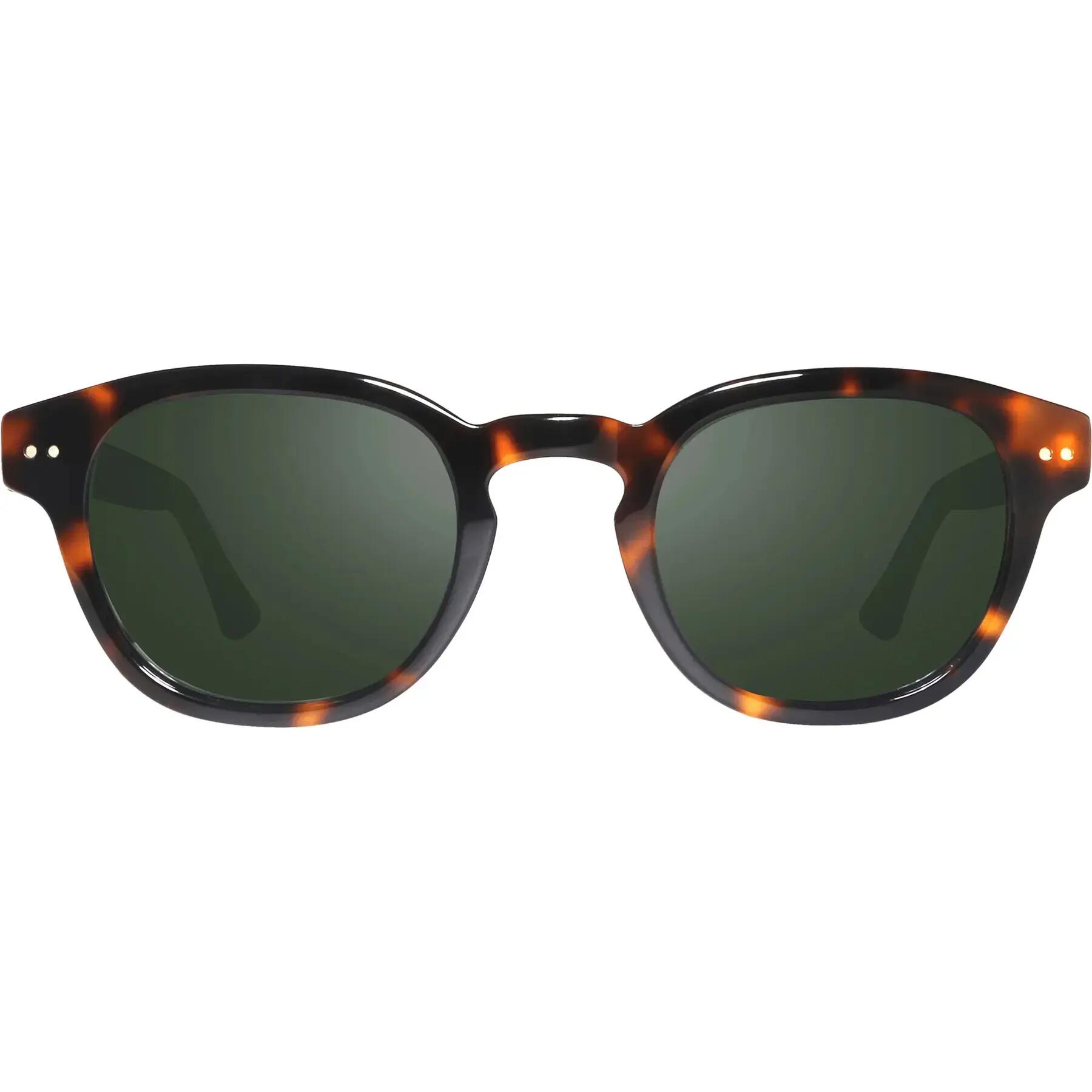 Okulary przeciwsłoneczne Revo Sterling G 2/4