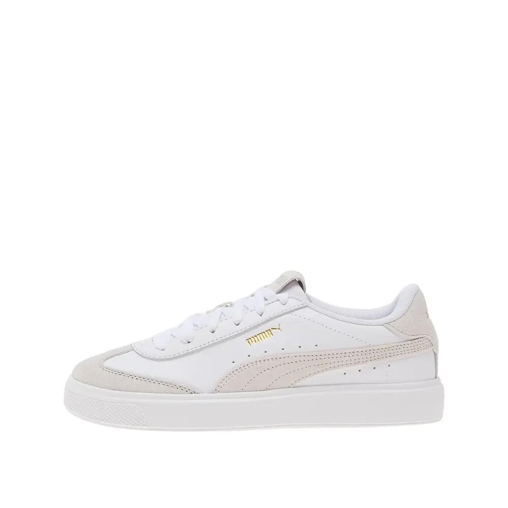 PUMA picture