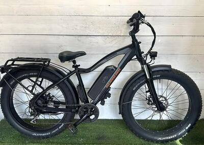 Bicicletta usata Rad Power Bikes – RadRhino 5