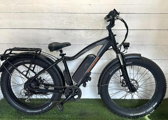 Bicicletta usata Rad Power Bikes – RadRhino 5