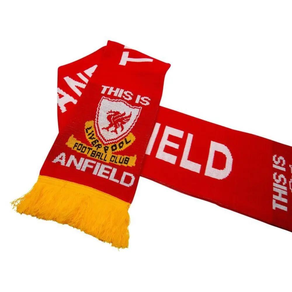 LIVERPOOL FC picture