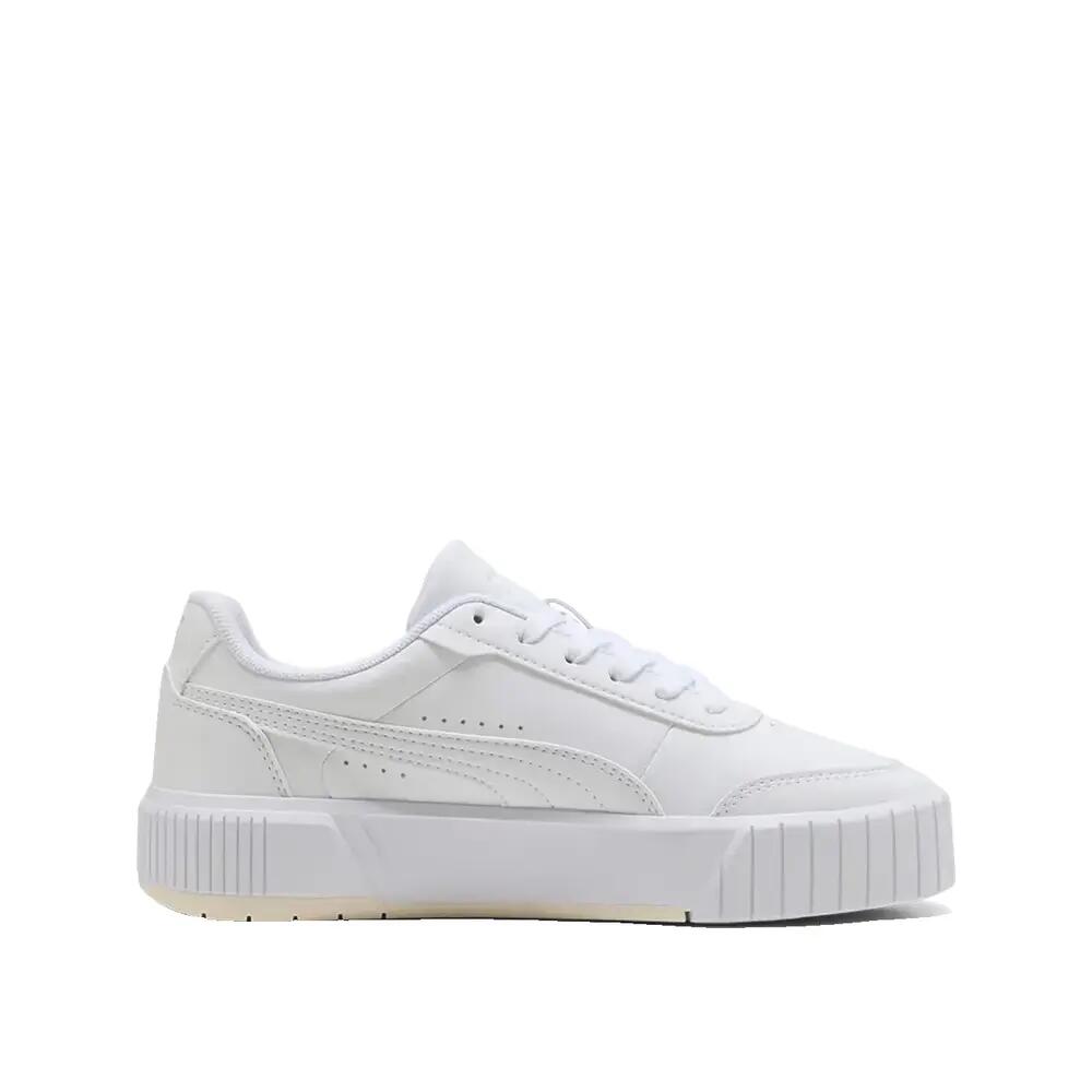 PUMA picture