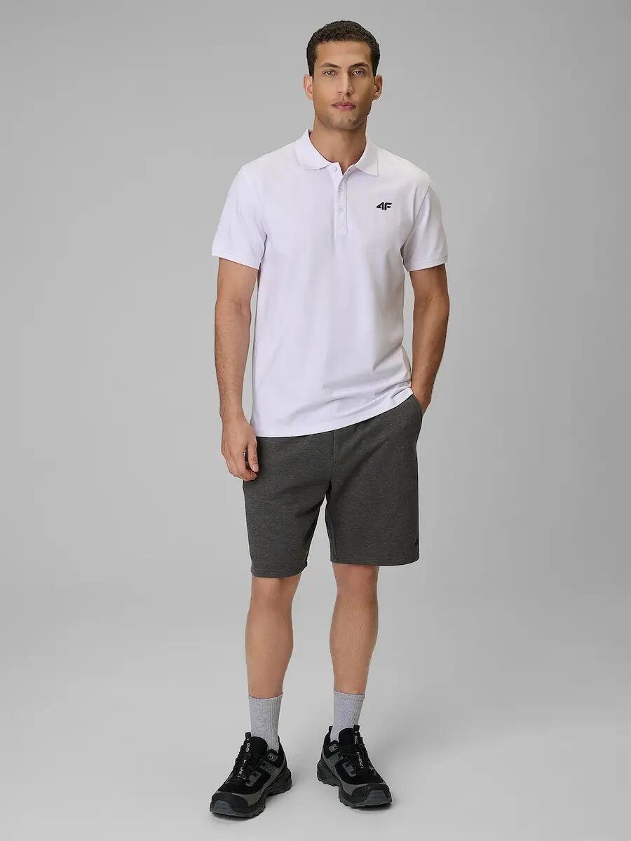 Koszulka polo regular męska 4F 4/6