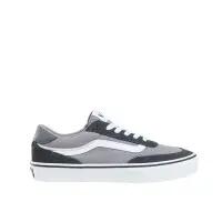 VANS picture
