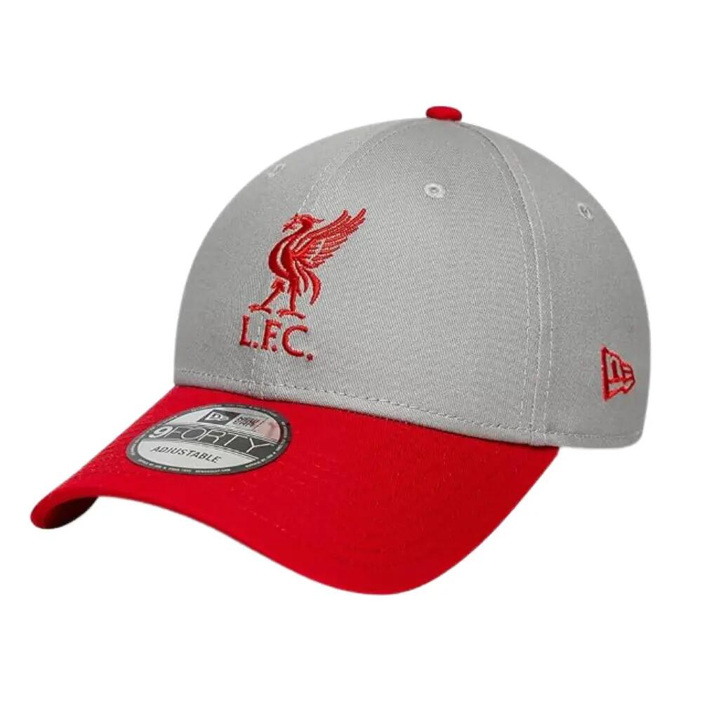 LIVERPOOL FC picture