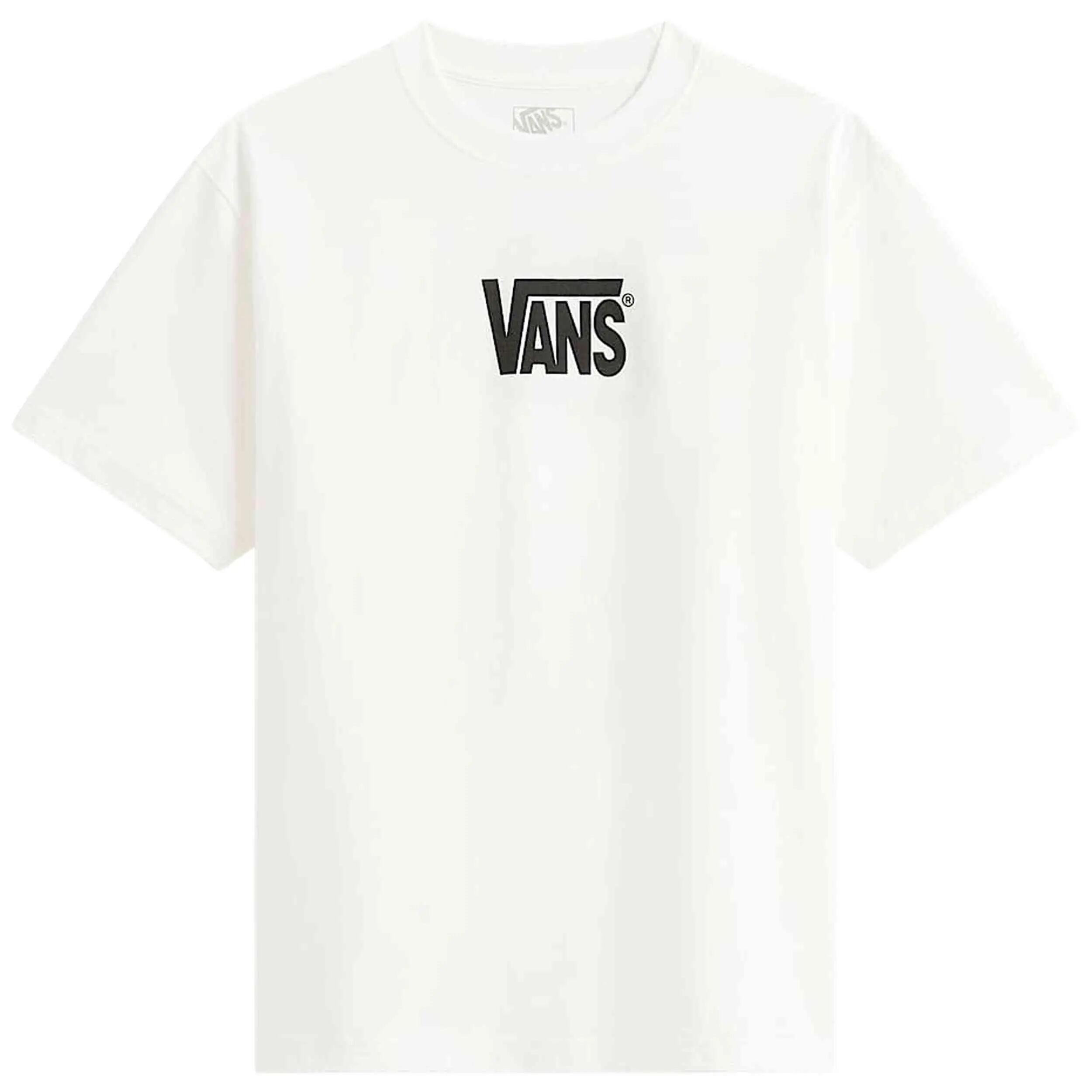VANS picture