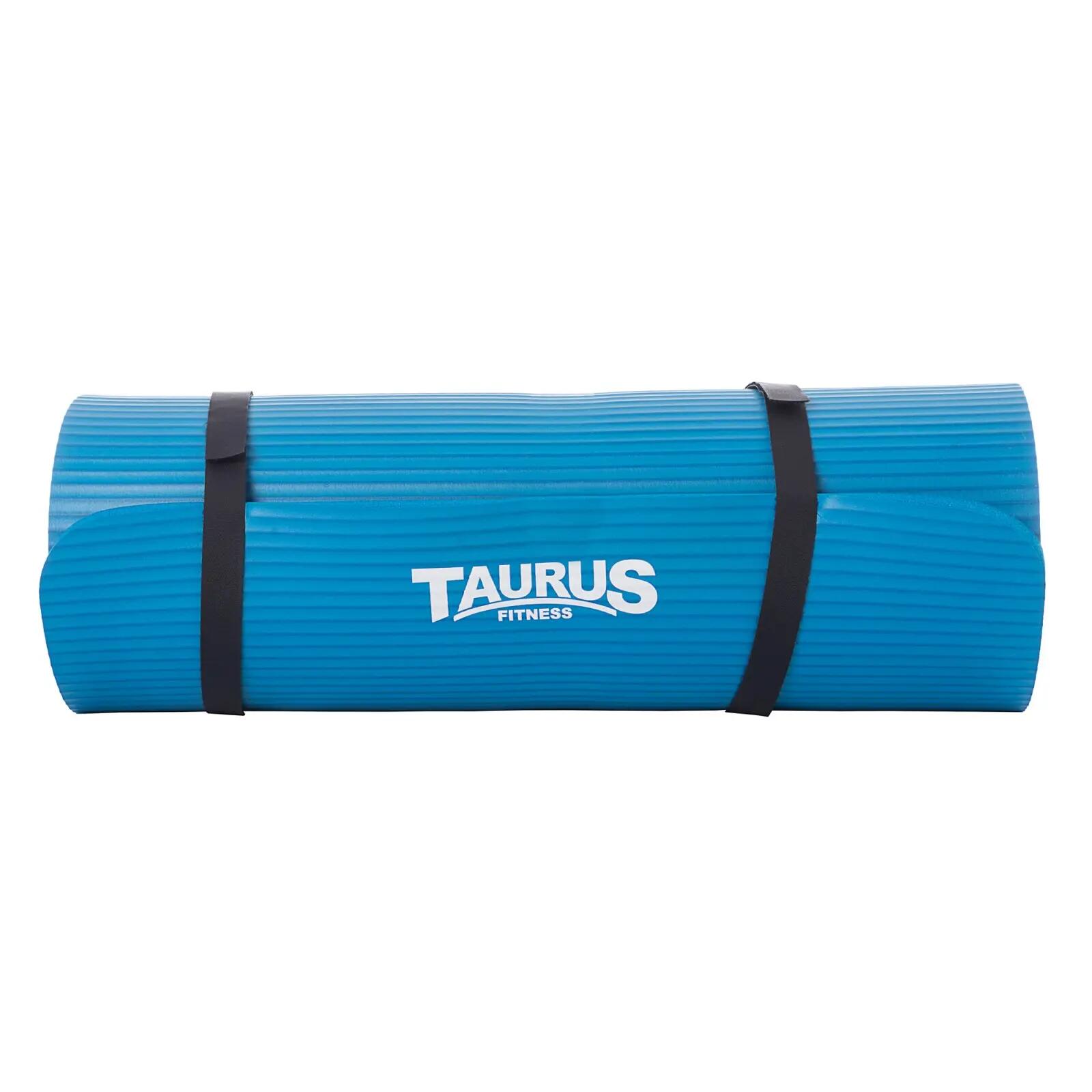 TAURUS picture