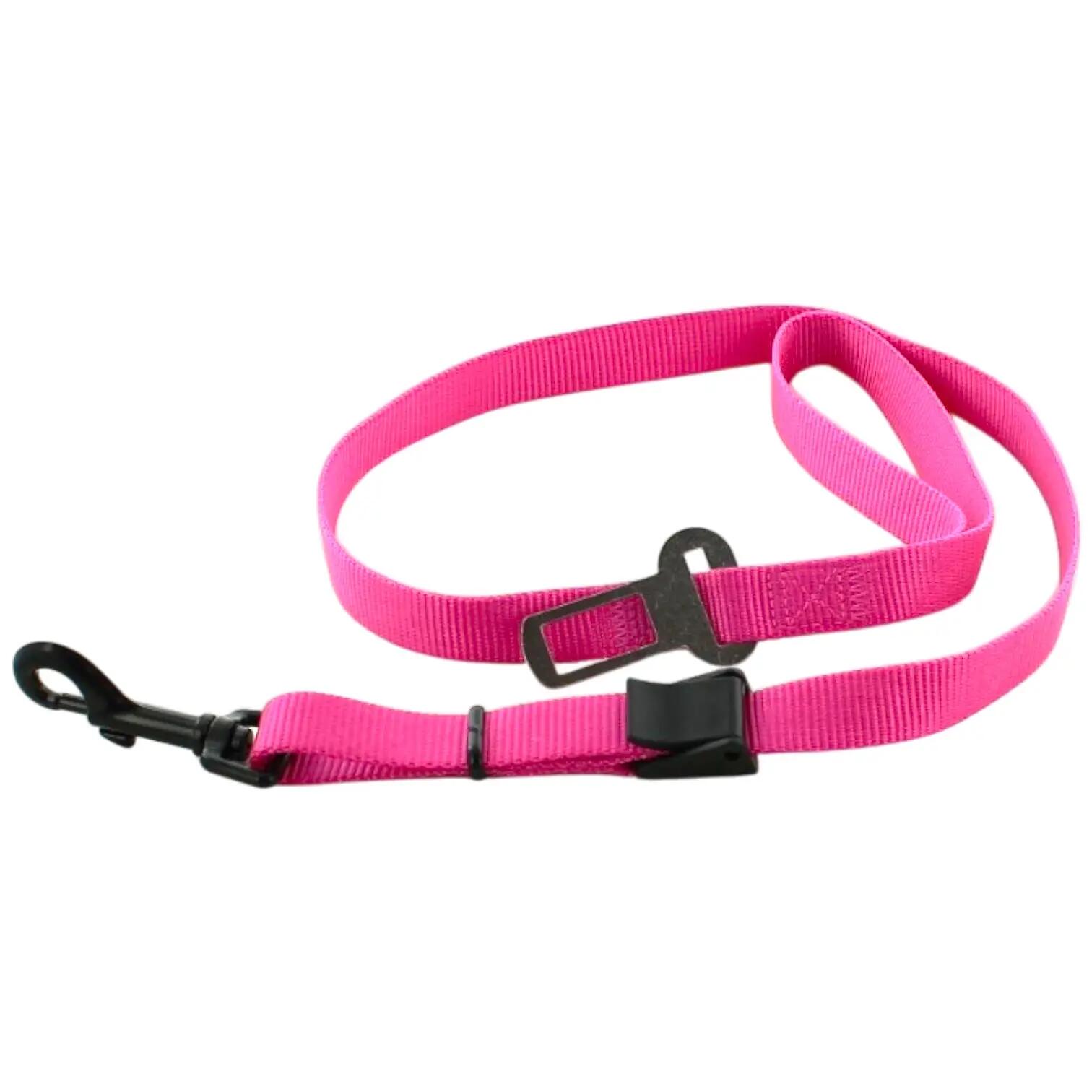 I-DOG picture